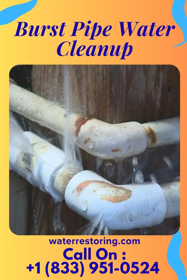 Burst Pipe Water Cleanup in Hartland, IL